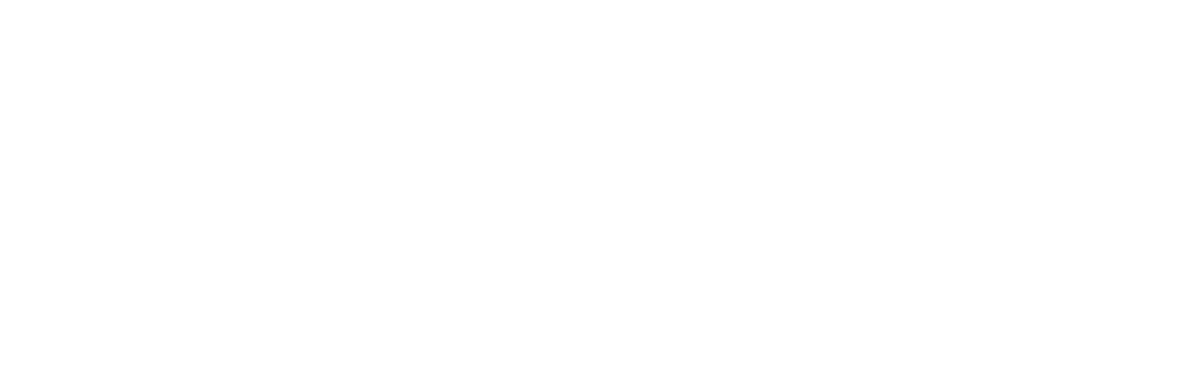 logo_light